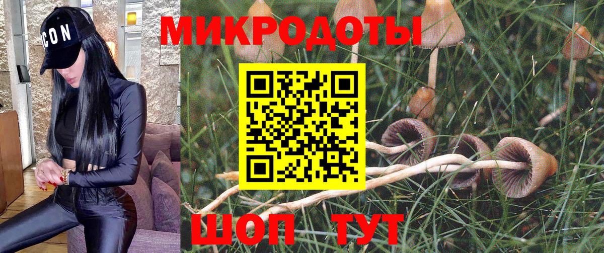 Псилоцибиновые грибы ЛСД Якутск