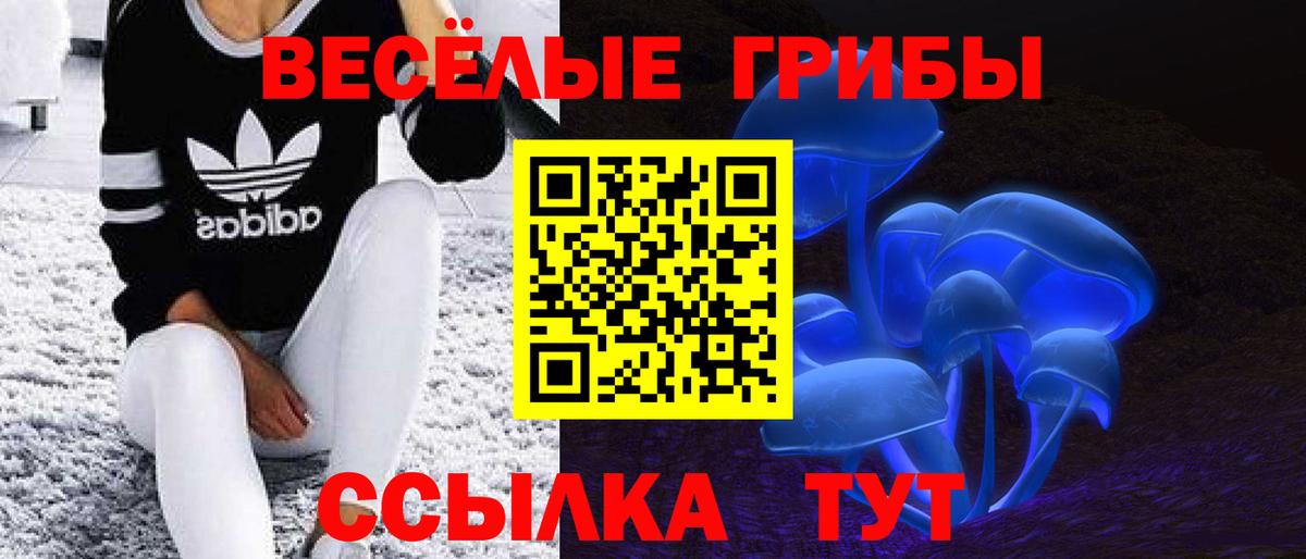 Якутск  Псилоцибиновые грибы Cubensis  Вход с VPN  Псилоцибиновые грибы мицелий 